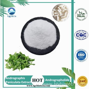 Andrographis Paniculata Extract powder 98% Andrographolide
